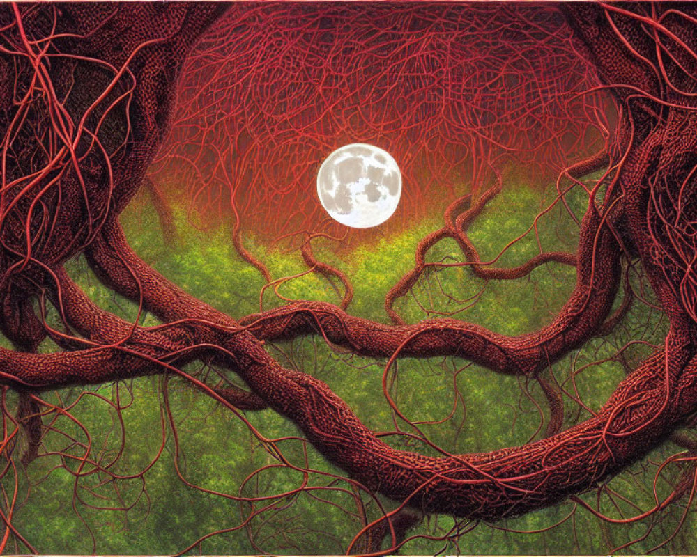 Full Moon Shines on Dense Forest with Red Vines