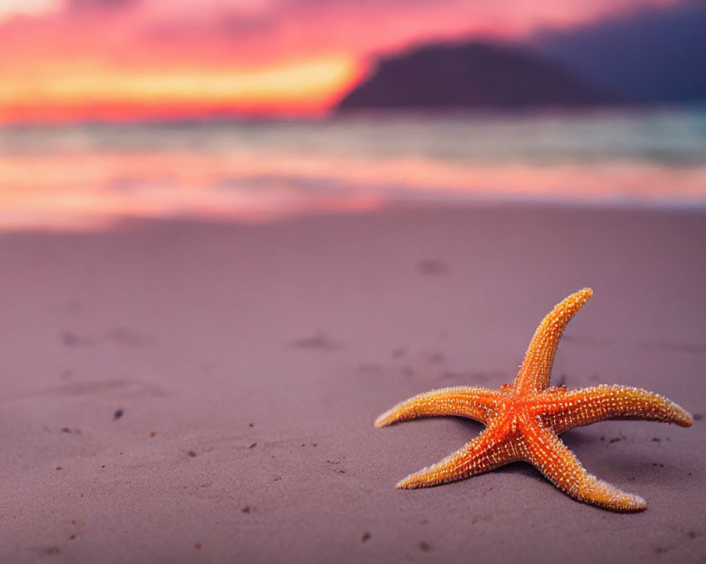 Starfish on Sand with Sunset Sky and Blurry Profile Person