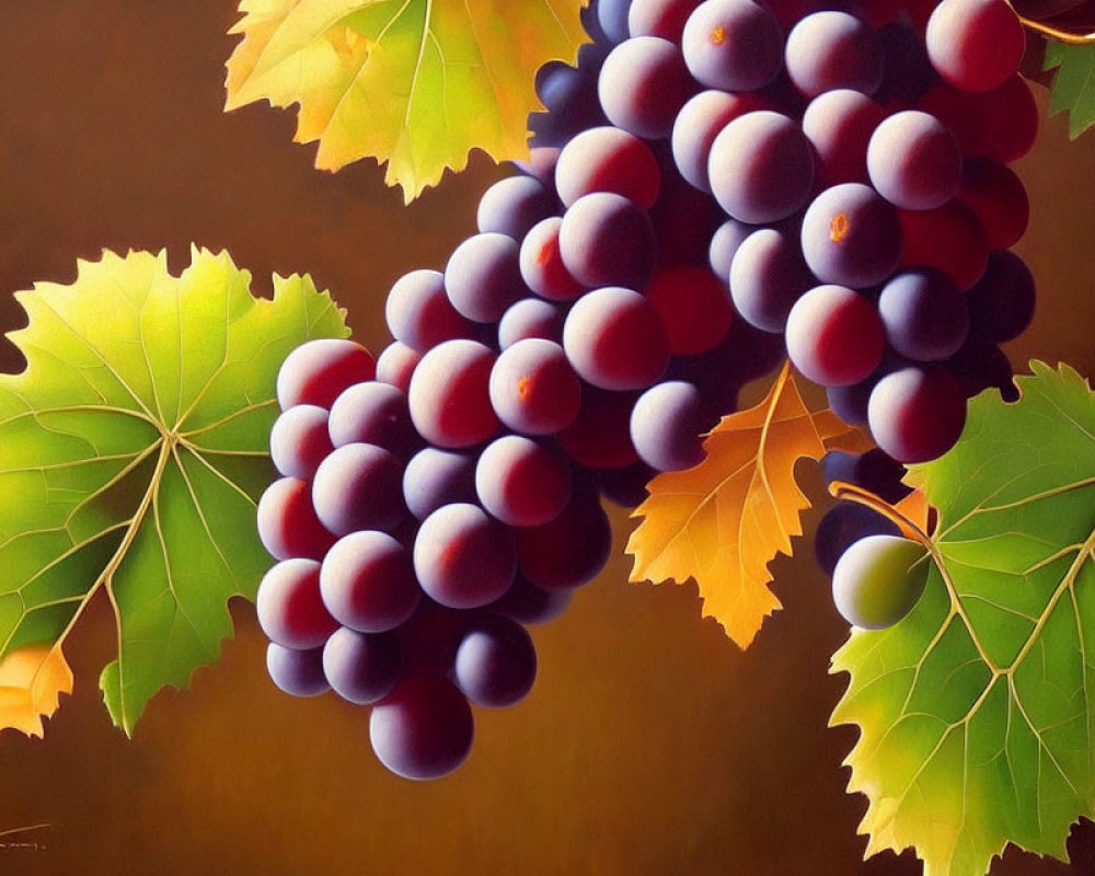 Realistic Painting of Ripe Grapes in Purple and Green Hues