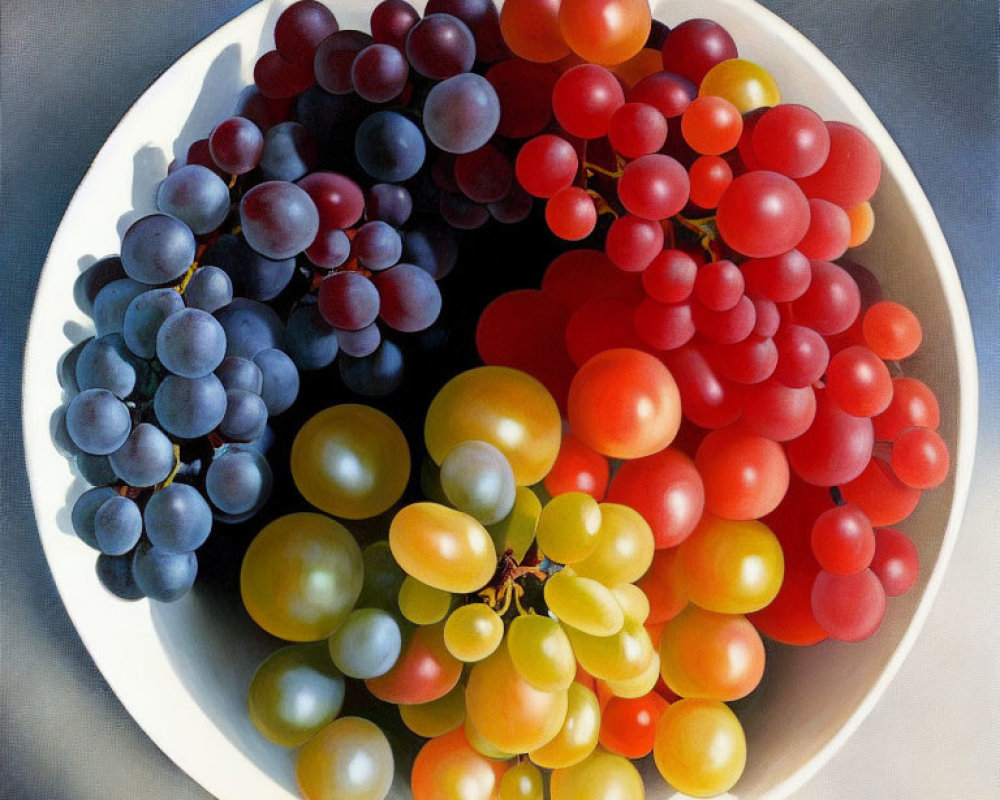 Realistic painting of colorful grape clusters in a bowl