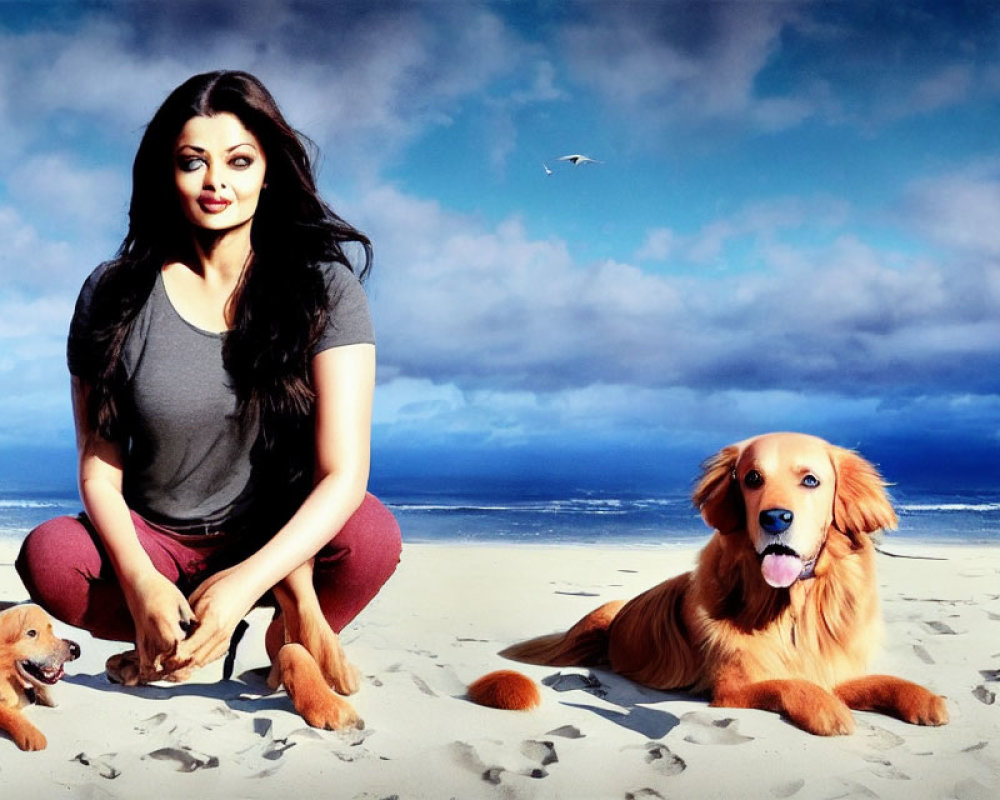 Woman with two dogs on beach under cloudy sky