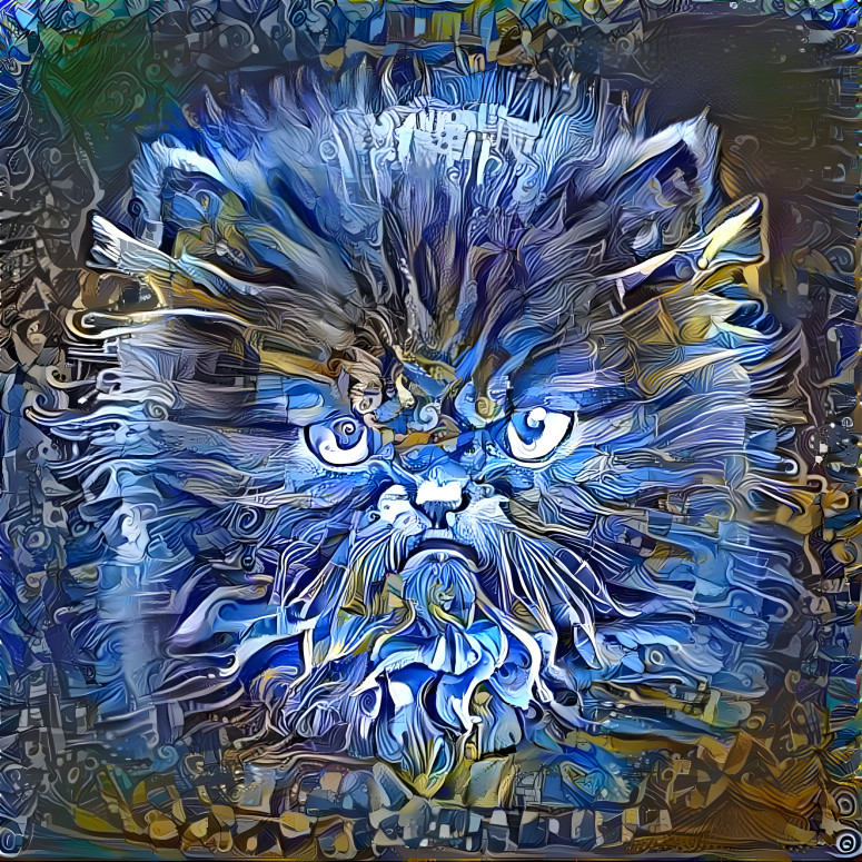 The blue cat