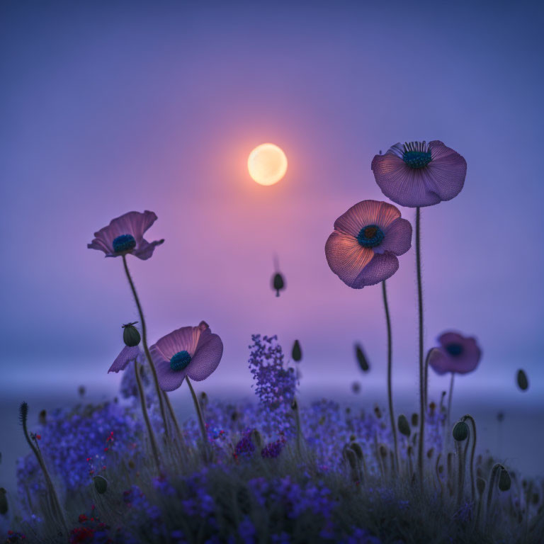 Field of Poppies and Wildflowers at Sunset with Purple and Blue Sky