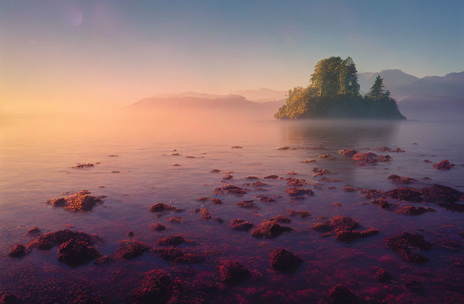 Tranquil sunrise lakescape with mist and small island in soft pink and blue hues