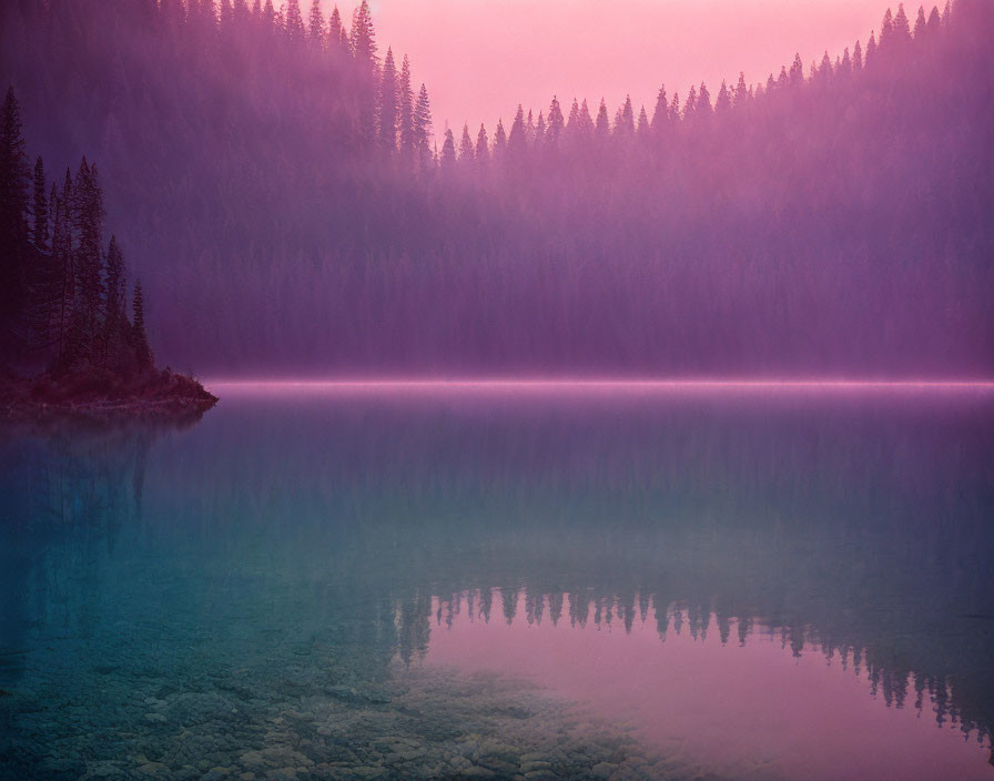 Tranquil dusk lake with mist, pine tree silhouettes, purple-pink sky