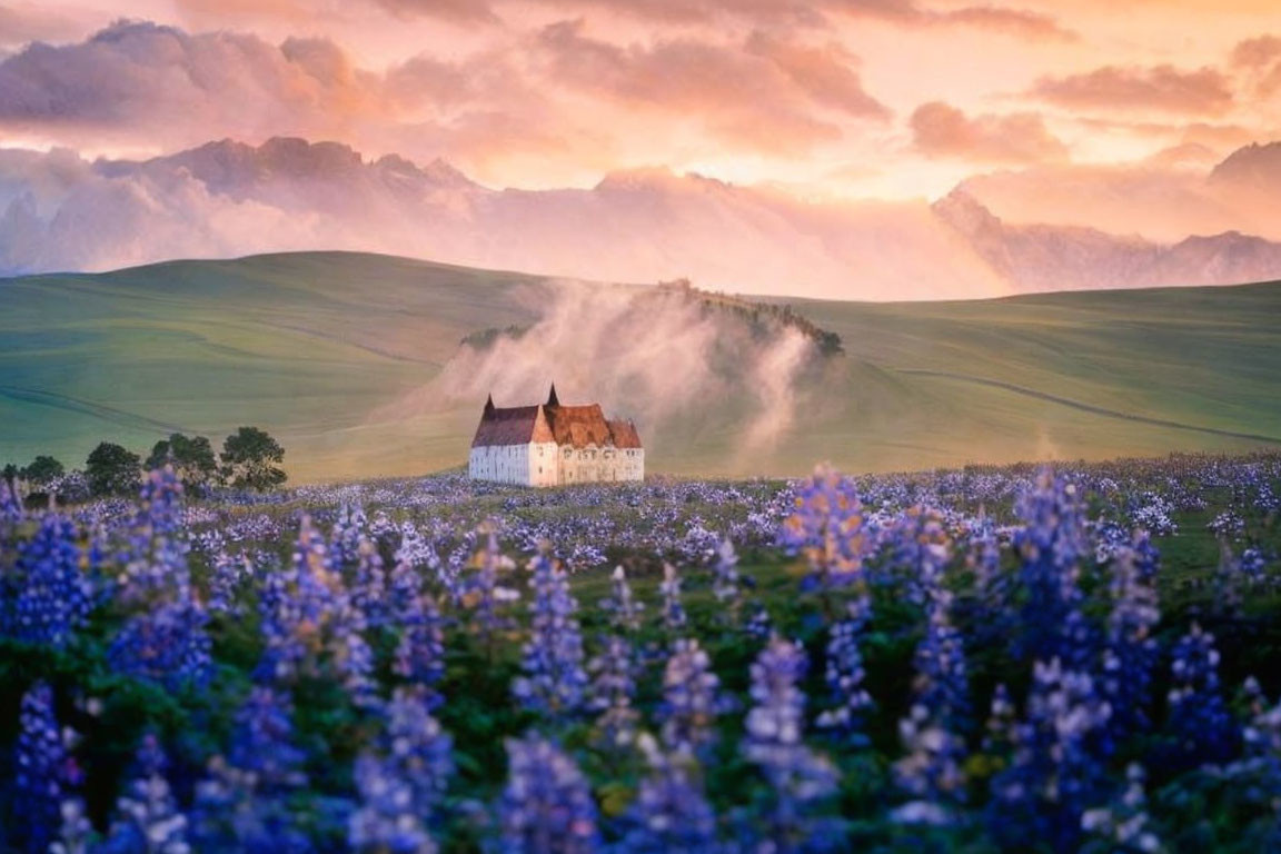 Charming house surrounded by blue-purple flowers and rolling hills