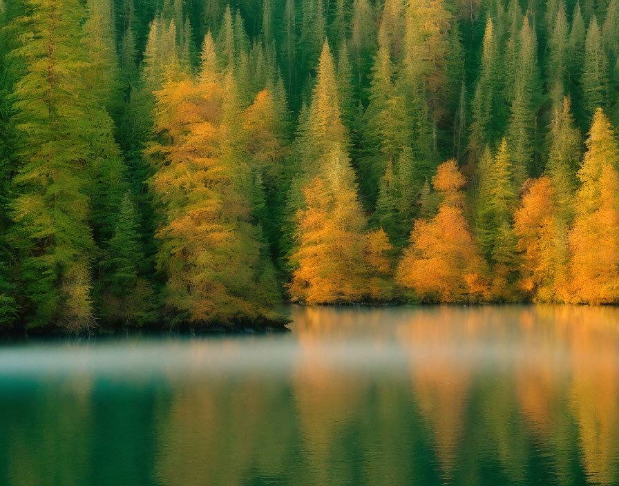 Tranquil autumn forest reflected in calm lake