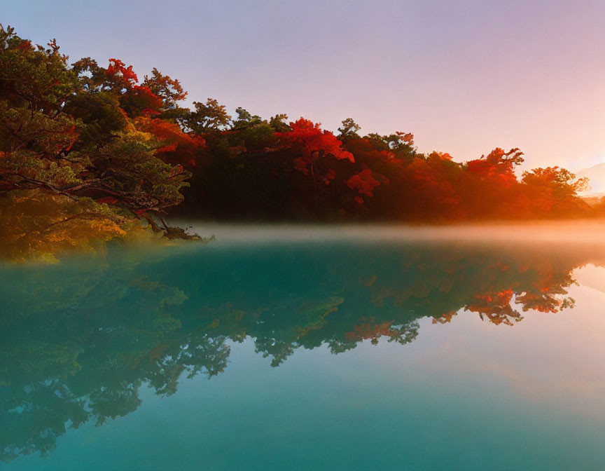 Tranquil lake reflects autumn forest in soft sunrise fog