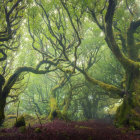 Mystical forest with tall trees and futuristic robots among foggy landscape