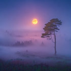 Tranquil landscape: vibrant poppies, misty castle silhouette, soft sunset.