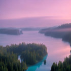 Tranquil dawn landscape: soft pink sky, misty lake, tree silhouettes