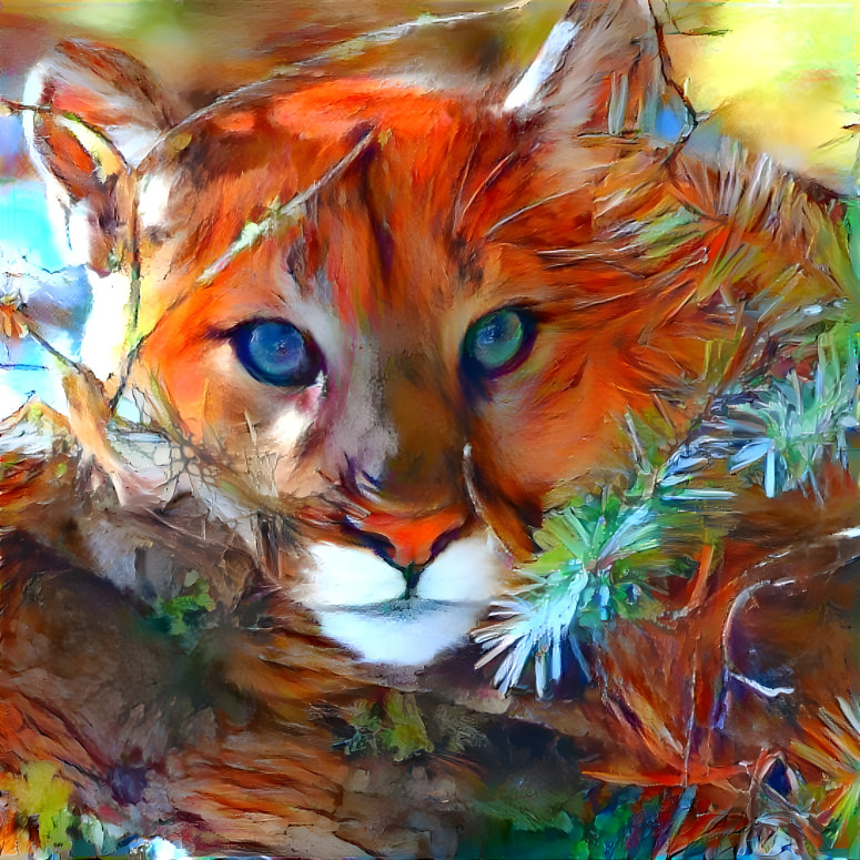 Lynx