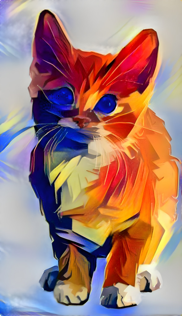 COLOURFUL KITTY