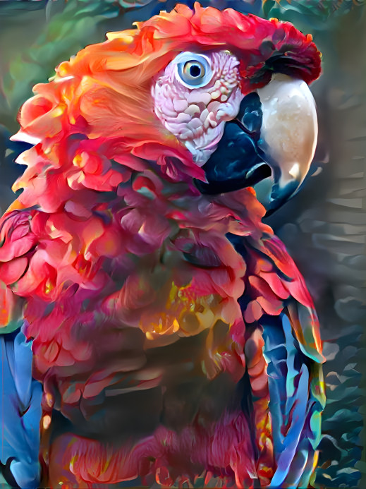 Floral Parrot