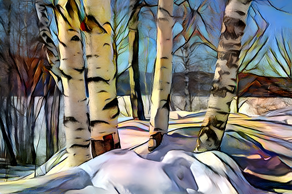 white birch 9