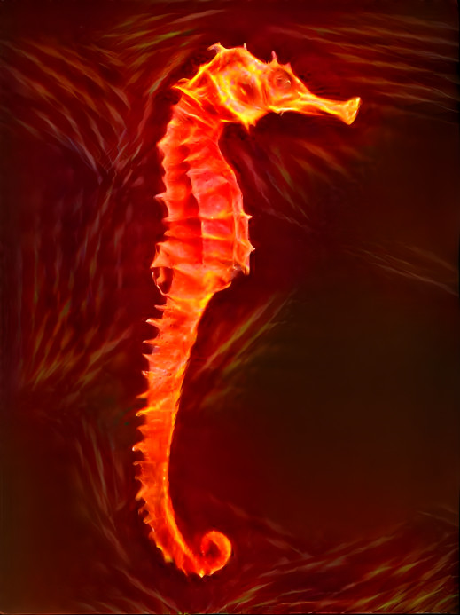 Sea horse 1