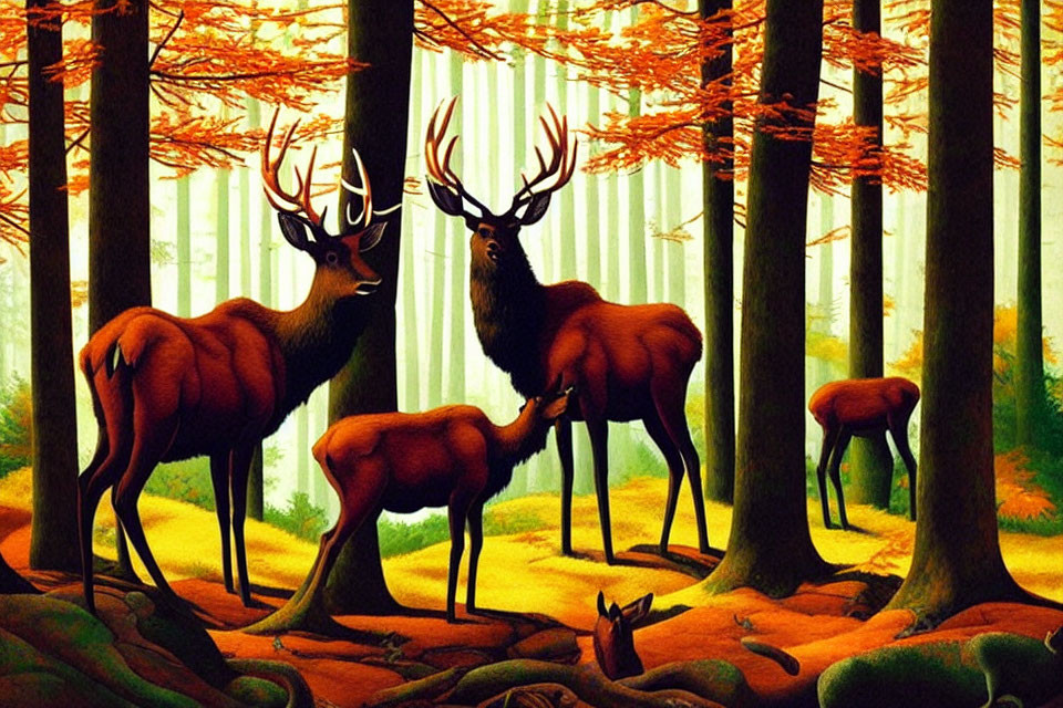 Colorful Deer Herd with Antlers in Autumn Forest