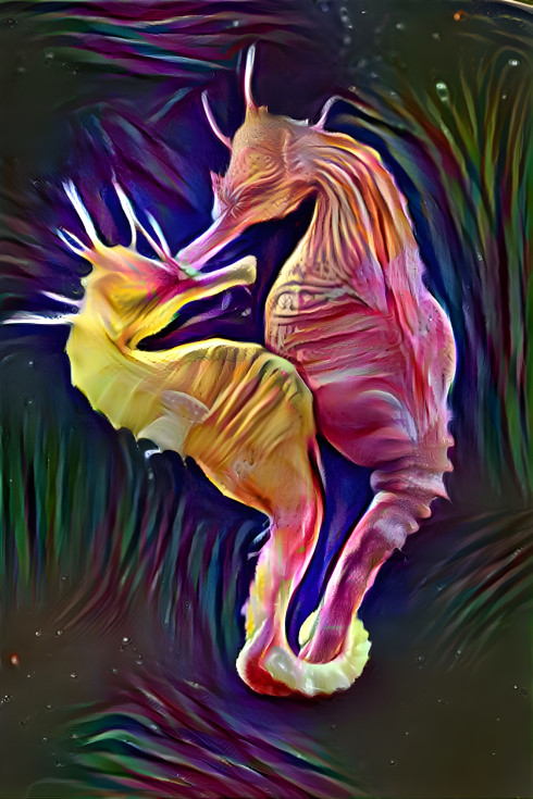 Sea Horse 6