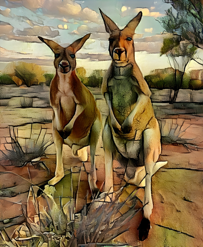 Kangeroo Buddies