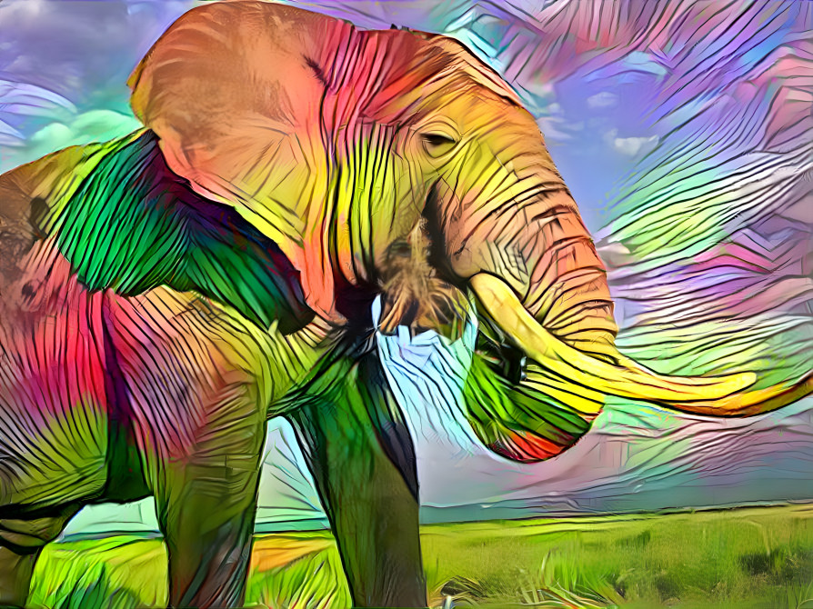  ELEPHANT 5