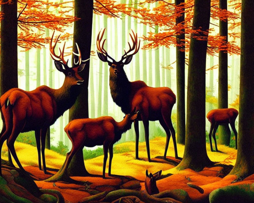 Colorful Deer Herd with Antlers in Autumn Forest