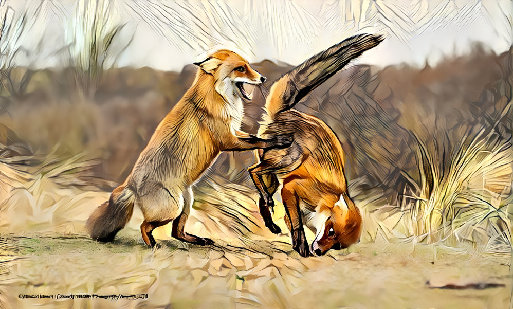 Foxes