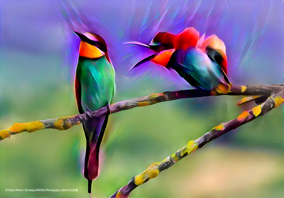 Singing Birds