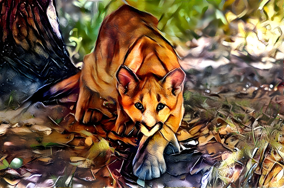 Mountain Lion 1