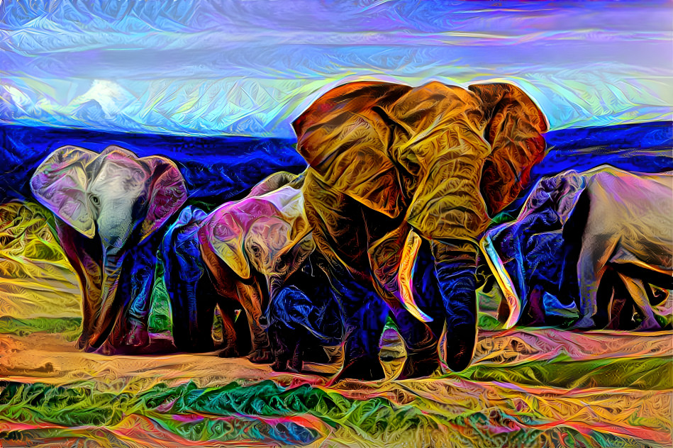 Elephant 8