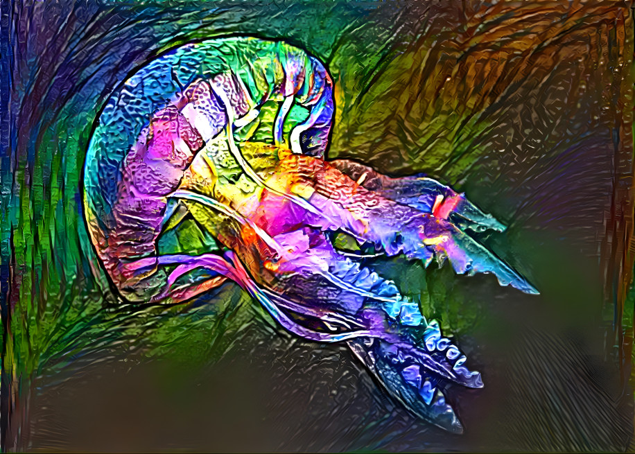 Jellyfish 4