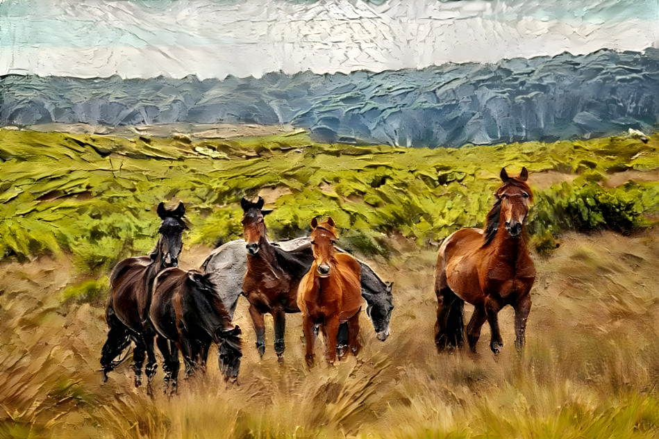 Wild Horses