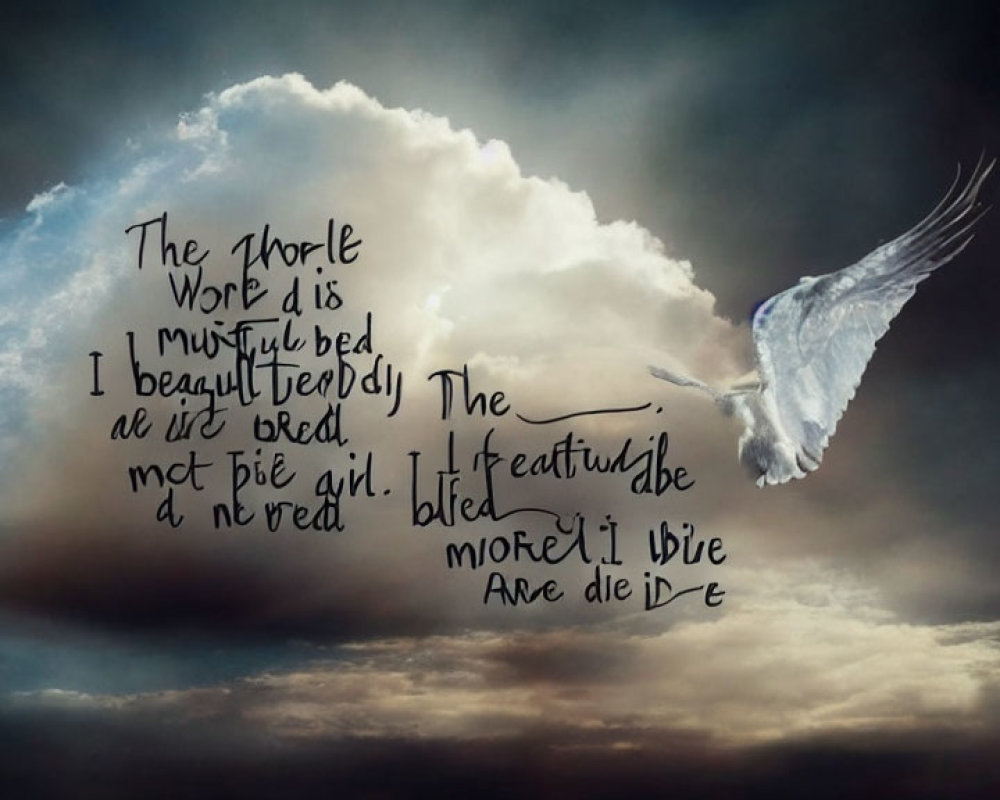 White dove flying in dramatic cloudy sky with poetic text overlay.