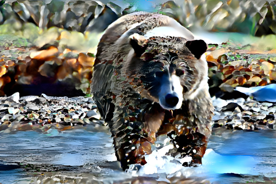 Bear on a beach