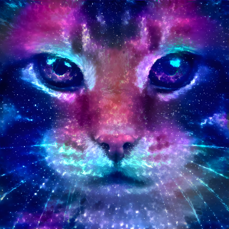 Cosmic Cat