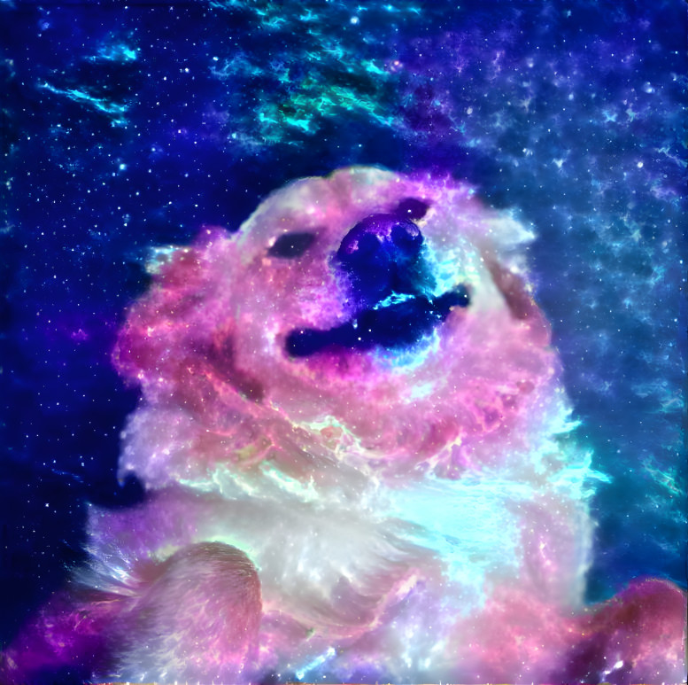 Cosmic Doggo