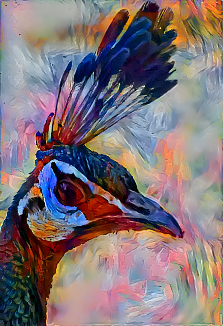 Peacock