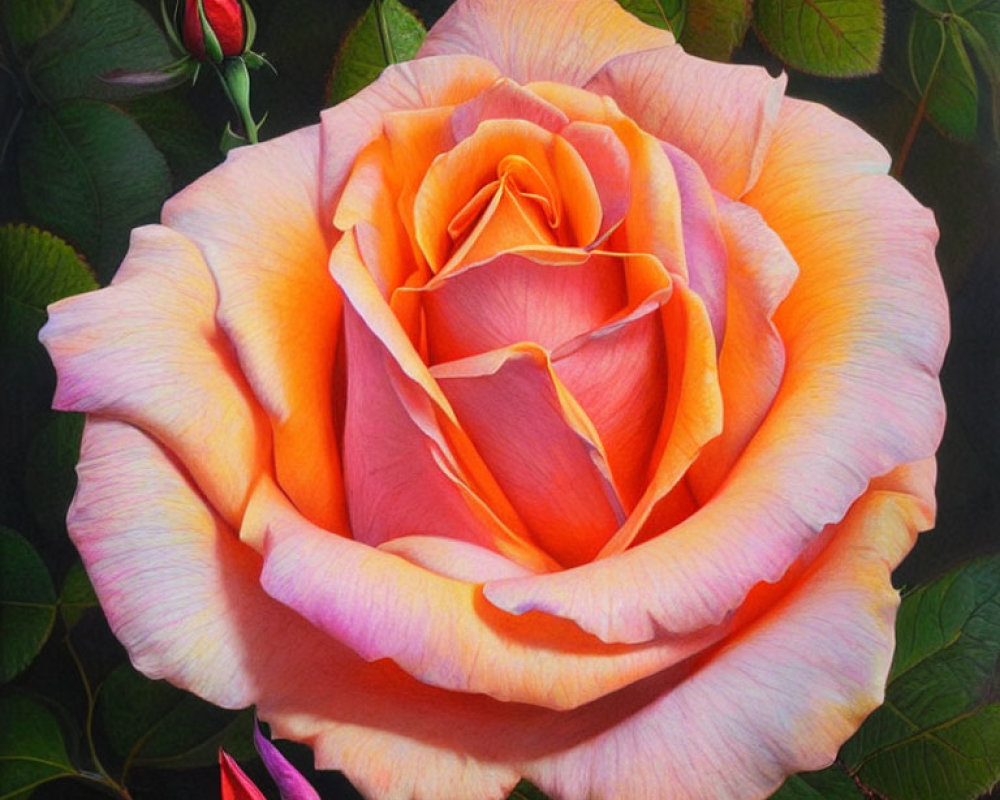 Colorful painting of large peach rose in full bloom with green leaves on dark background