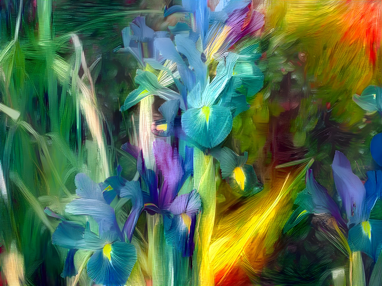 Blue iris