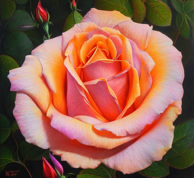 Colorful painting of large peach rose in full bloom with green leaves on dark background