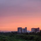 Sunrise cityscape with silhouetted buildings and power lines in warm pink and orange sky