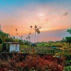 Tranquil Sunset Landscape with Rustic Cabins and Vibrant Flora