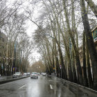 Colorful street scene with unique blue and orange trees, classic cars, and elegant buildings.