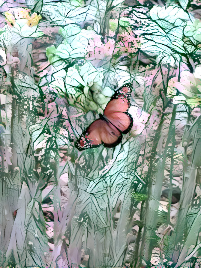 Pink Butterfly