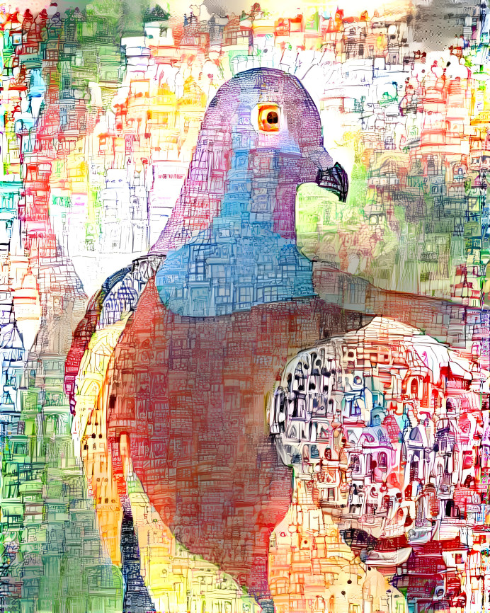 City Pigeon