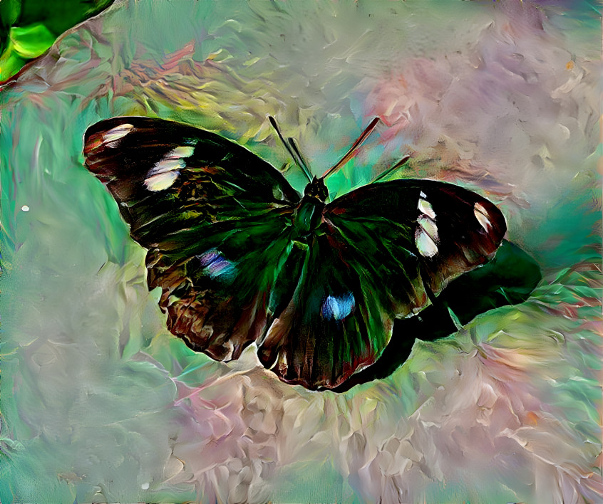 Butterfly Dreams