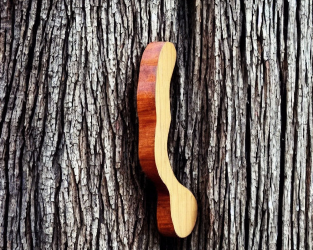 Wooden mustache decoration on tree bark showcases texture contrast