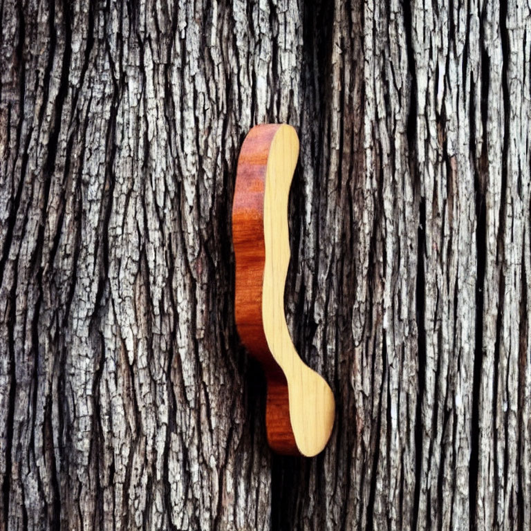 Wooden mustache decoration on tree bark showcases texture contrast