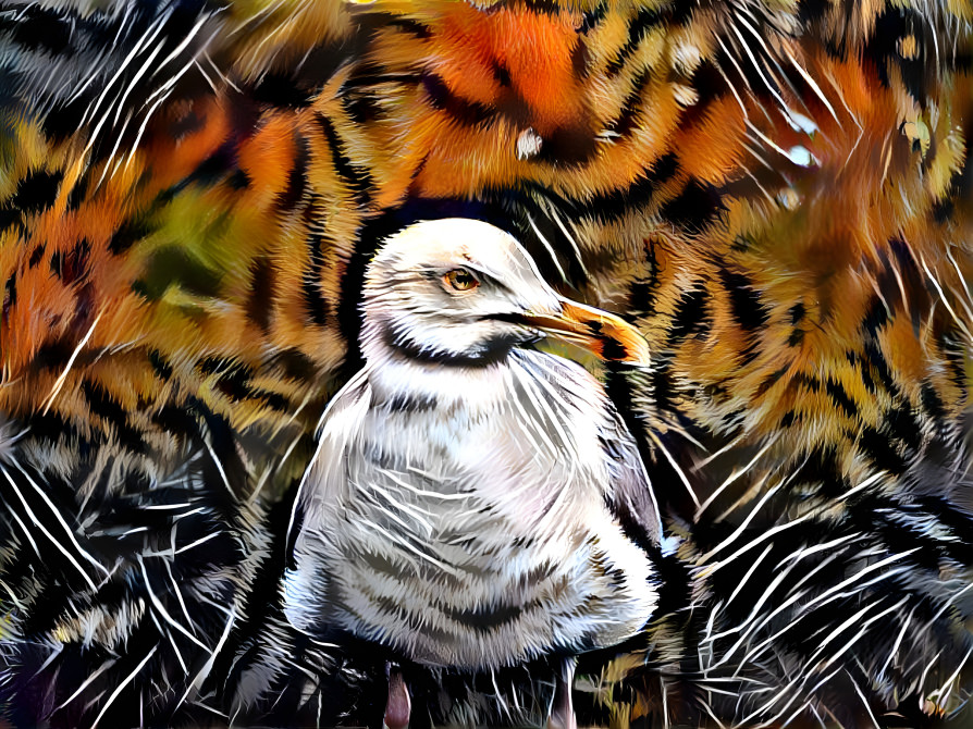 Tiger Bird