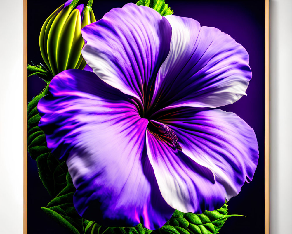 Vibrant purple flower with white veins and dark center on purple backdrop