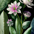 White Flowers with Pink Speckles Among Green Plants and Geometric Patterns